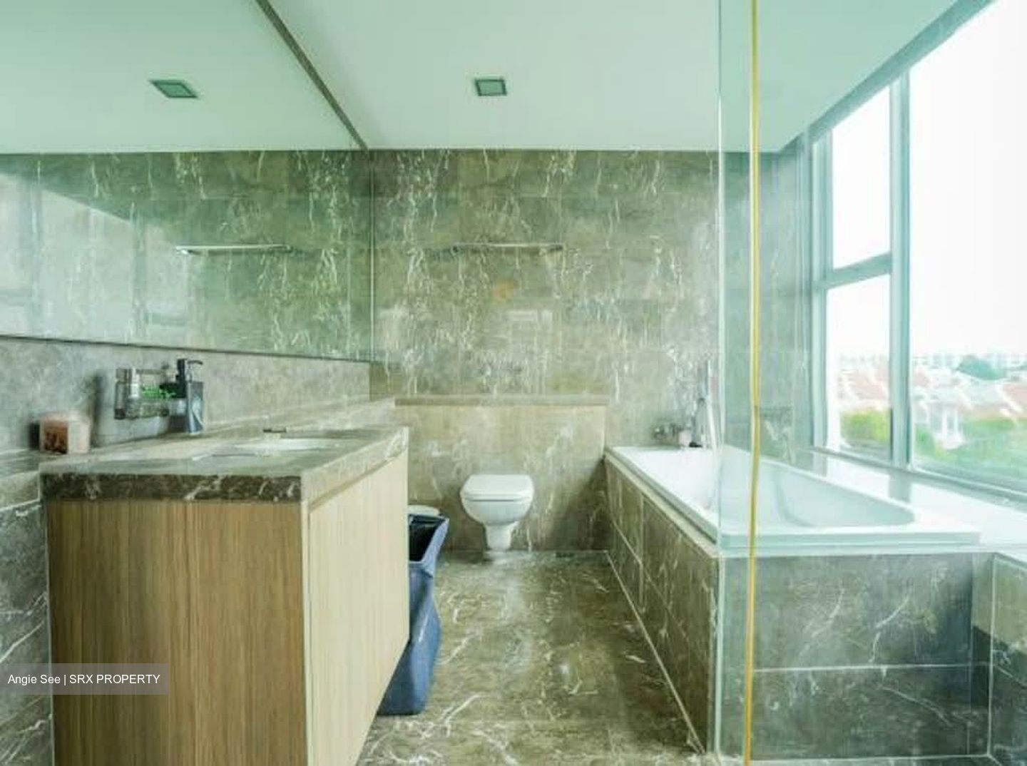 Optima @ Tanah Merah (D16), Condominium #559248601